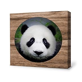 Canvas Wall Art Cute Panda Canvas Painting Wall Poster Decor for Living Room Framed Home Decorations - 12x12 inches