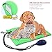 IB-SOUND Heating Pads for pets, Warming Dog Beds Pet Mat with Chew Resistant Cord Soft Removable Cover