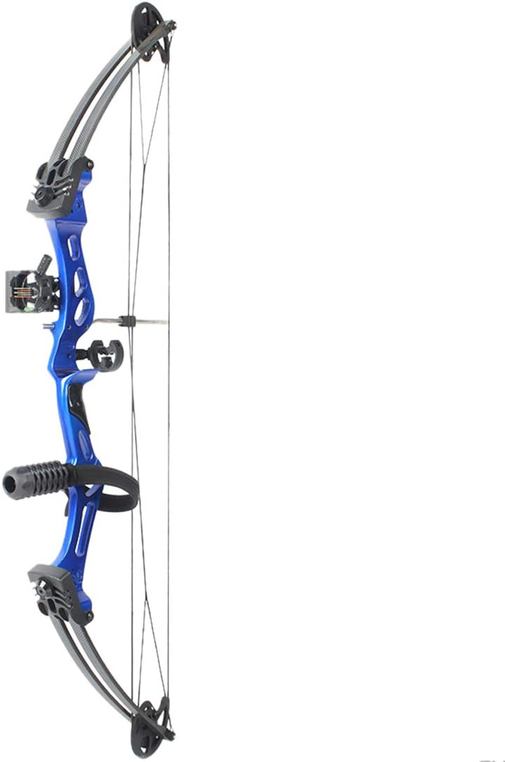 YOU339 Compound Bow Archery Hunting Equipment, Adjustable Compound Bow with maximum speed 310fps for adults (Black)