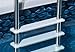 Blue Wave NE122SS Stainless Steel In-Pool Ladder,Silver/white