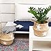 Seagrass Planter Basket | Decorative Woven Belly Basket | Picnic Basket or Indoor Storage for Blankets, Toys or Laundry, by Toma Design (Natural, Large)
