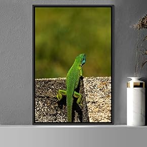 signwin Framed Canvas Wall Art Reptile Contemporary Dramatic...