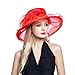 Women's Organza Church Derby Fascinator Cap Kentucky Tea Party Wedding Hat