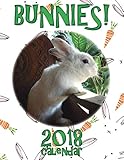 Bunnies! 2018 Calendar by 