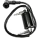 Amhousejoy Ignition Coil Fit for Kawasaki Fit for BAYOU 300 KLF300 86-04 ATV 1986-2004
