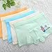 CHUNG Little Boys 100% Cotton Boxer Briefs Underwear 5 Pack Dinasaur Animal Print 3-8Y
