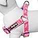 Blueberry Pet 5 Colors Soft & Comfy Step-in Paisley Flower Print Dog Harness, Chest Girth 15.5