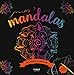 Mandalas : Avec 1 bâtonnet by