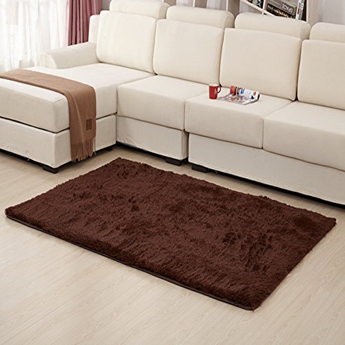 Singtryee Silky Living Room Carpet Comfort Mat Memory Foam Fur Rug with Anti-Skid Bottom Washable Soft Bedroom Floor Beside Rugs 4.5 by 6.5 feet(Coffee)