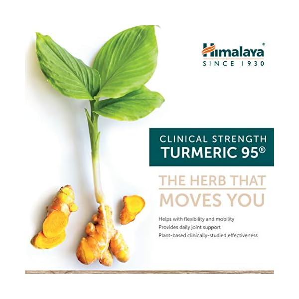 Himalaya Turmeric 95 with Curcumin for Healthy Joint Support & Pain