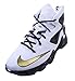 Nike Boys' Lebron XII (GS) Basketball Shoes-White/Metallic Gold/Blk