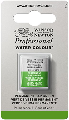 Winsor & newton professional water color with half …