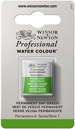 Winsor & Newton Professional Water Color with Half Pan, Permanent Sap Green