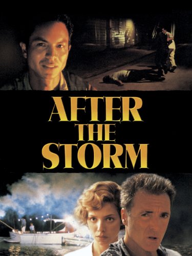 Download After The Storm