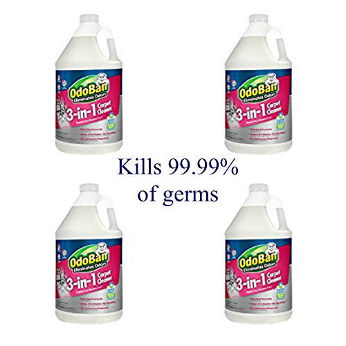 Best Fabric Deodorizer Buying Guide GistGear