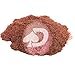Andromeda ColorShift Pearl 5g Mica Powder Pigment | Green Red Copper Shift | Automotive Grade Pearlescent Paint Colorant | Epoxy Resin & Lacquer Dye | UV Resistant | DIY Arts/Crafts