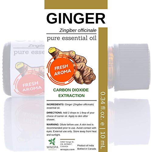 image for WNOPA Ginger Oil Fresh Herbal Ginger Essential Oil from Roots CO2 Extr