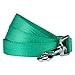 Blueberry Pet Essentials Emerald Dog Leash for X-Small -5' * 3/8