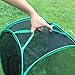 Trasfit 24 Inch Collapsible Insect and Butterfly Habitat Terrarium, Easy Zip-Open Door(Black)