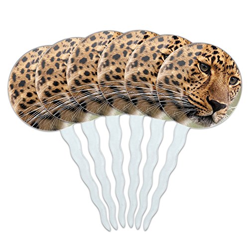 Set of 6 Cupcake Picks Toppers Decoration Animals Going On Safari - Leopard Portrait Big Hunting Cat