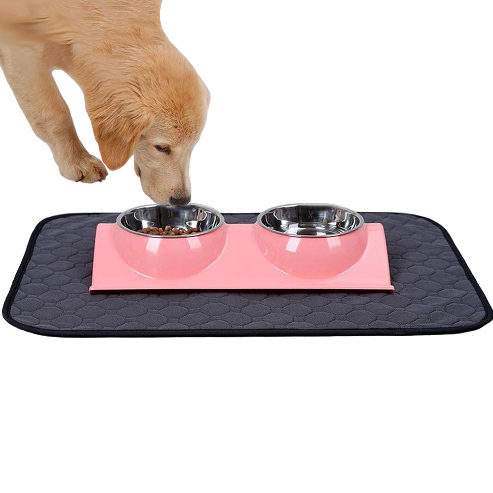 2 Pack Dog Pee Pad Reusable Pet Dog Diaper Pad Urine Potty Training Pads 4 Layers Design Anti-Skid Bottom/Fast Absorb/Deodorant Dog for Indoor Outdoor Car Travel Machine Washable — image 1