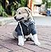 The Adventure Zip Up Dog Hoodie With Velcro Pockets and Adjustable Drawstring Hood - Available in Extra Small to Extra Large. Comfortable & Versatile Winter Dog Clothes By Ellie Dog Wear. (XL)