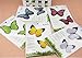KitMax (TM) Pack of 6 Sets Cute Butterfly Shaped Sticky Notes Gift for Students Children, Color May Vary