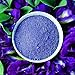 MiralandBerry 100% Blue Butterfly Pea Flower Powder 2.8oz (80g), Culinary Grade, Natural Superfood, Raw with Antioxidants