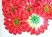 (12) BIG Silk Orange Gerbera Daisy Flower Heads , Gerber Daisies - 3.5