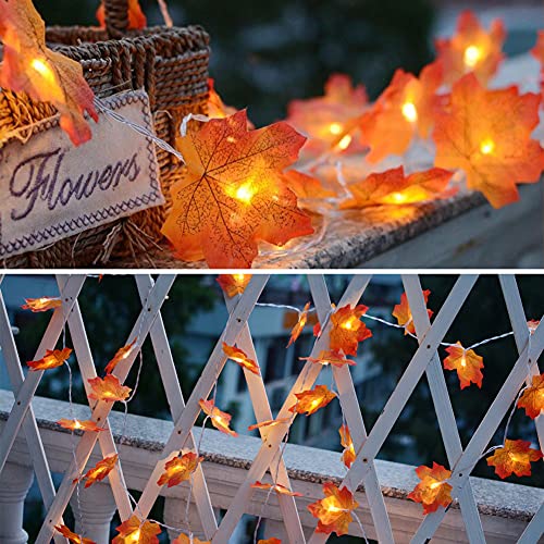 VGOODALL Maple Leaves String Lights, 3M 20LED Artificial Fall Lighted Garland Battery Operated Autumn Decoration Fairy Lights for Indoor Outdoor Garden Décor Halloween Party