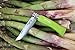 Opinel No 07 Trekking Series Stainless Steel Folding Everyday Carry Pocket Knife with Virobloc Safety Locking Ring and Leather Lace - Green Apple Beech Handle