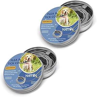 best collar for dog with allergies