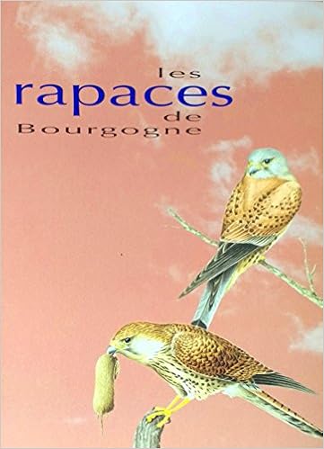 rapaces-de-bourgogne-strenna
