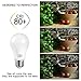 MAXvolador A19 LED Bulb, 60W Equivalent Daylight White 5000K 800lm Non-dimmable 9W LED Light Bulbs, 18-Pack