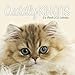 Cuddly Kittens 2020 Mini Calendar by 