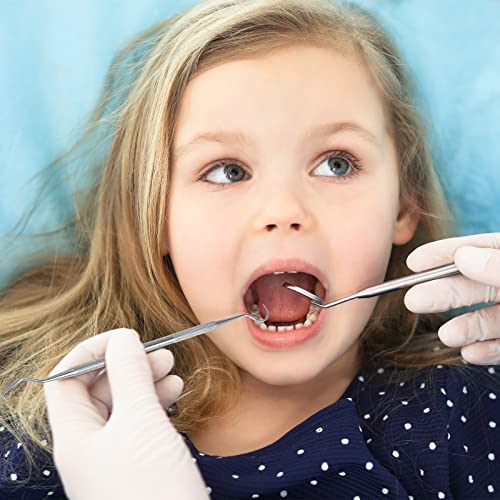 Professional Dental Tools Kit, Dog Dental Tooth Scaler Pick and Scraper