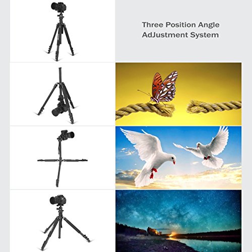 ZOMEI F647 64.5-Inch Camera Tripod Lightweight Aluminum Alloy Travel and Compact with 360 Degree Ball Head and Carrying Bag for Canon, Nikon, Sony, Samsung, Fuji Camera and DSLR