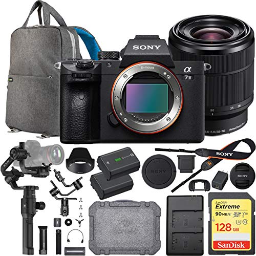 Sony a7III Full Frame Mirrorless Interchangeable Lens Camera with 28
