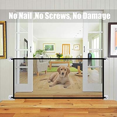 dog safety door