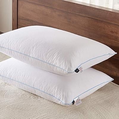 Basic Beyond Goose Down Alternative Bed Pillow Super Soft Plush