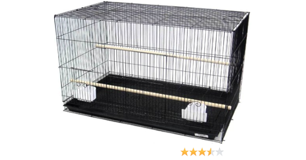 breeding finches in an aviary