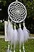 Ricdecor Dream catcher handmade traditional white feather dream catcher wall hanging car hanging decoration ornament (Luminous B （Dia 4.3
