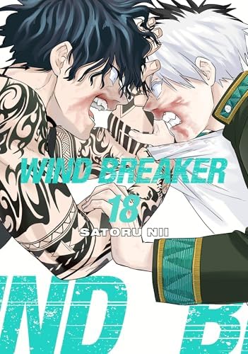 WIND BREAKER 12: Nii, Satoru: 9781646519590: Amazon.com: Books