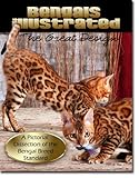 Bengals Illustrated, The Great Design, Bengal Cats