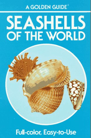 Top 10 Seashells Of The World Of 2019 No Place Called Home
