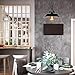 Stepeak Plug in Wall Sconces Lighting Set of Two, Gooseneck Wall Lamp, Industrial Black Light Fixture, Decor for Farmhouse Bar Bedroom Living Room Wall Lights Hallway, E26 Base (Exclude Bulb)