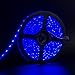 Blue Wind 16.4ft LED Flexible Light Strip,300 Units SMD 5050 LEDs,12V DC Waterproof, Light Strips, LED ribbon, DIY Christmas Holiday Home Kitchen Car Bar Indoor Party Decoration (RGB)