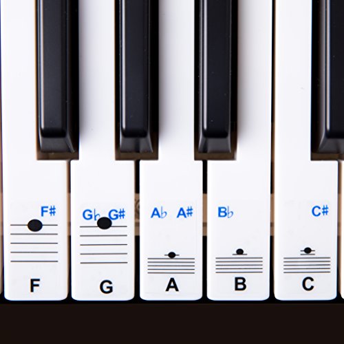 New - Keysies All Notes. Complete Note Range Piano Stickers For All Sizes of Keyboard