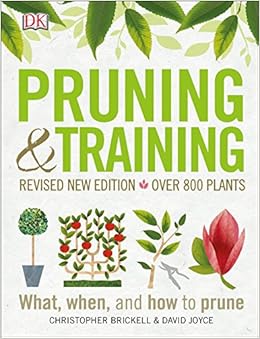Pruning and Training, Revised New Edition: What, When, and How to Prune, by DK