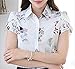 Double Plus Open DPO Women's Chiffon Collared Floral Printed Button Down Shirt Short Sleeve 10